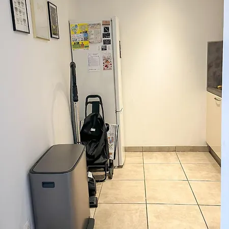 Appartement Cosy Au Coeur De Ceret Céret